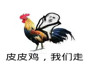 皮皮虾表情包
