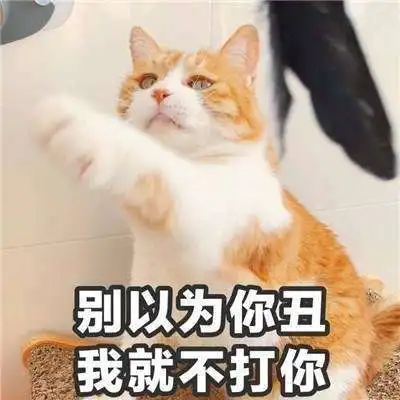 抖音小哥哥聊天吗表情包大全一言不合就开撩
