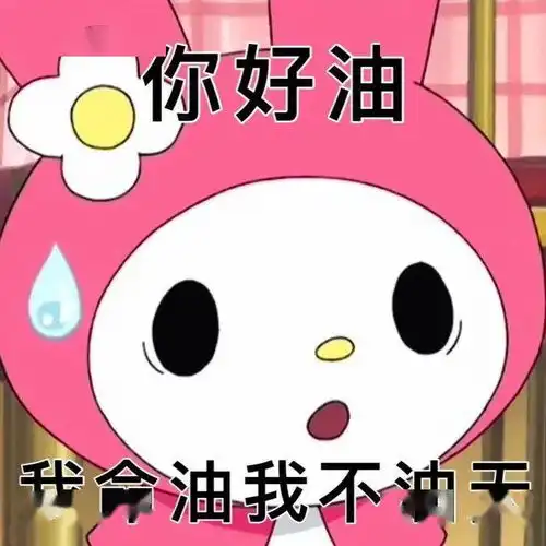 孙一宁王思聪聊天记录表情包,我命油我不油天
