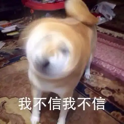 柴犬表情包搞笑不讲道理