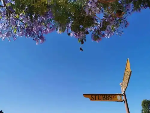 每位执梦走天涯的小仙女,都是身披铠甲的勇士
