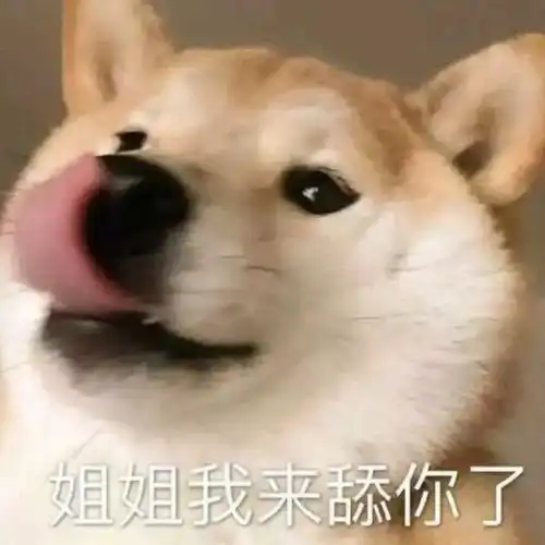 有那些关于舔狗的沙雕文案
