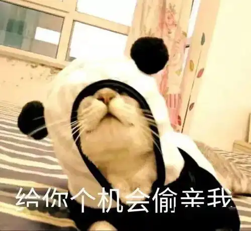 撒娇专用的宠物表情包,请收下我的爱