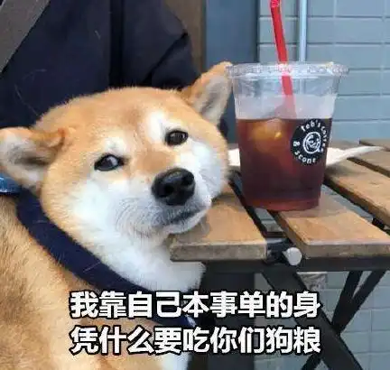 剑阁世纪华联昨天,剑阁的小伙子小姑娘们这么过情人节

