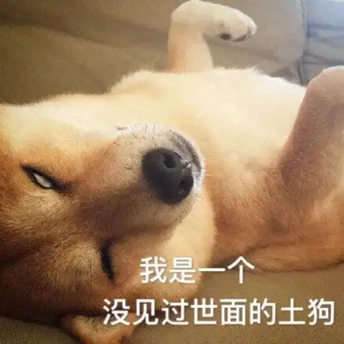 表情包我是一只没见过世面的土狗
