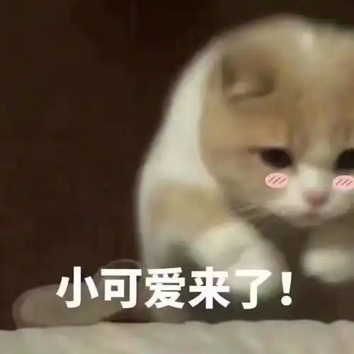 每天记录自己的生活是一种什么感觉
