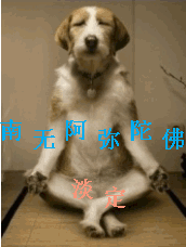 qq表情搞笑qq表情动物图片南无阿弥陀佛
