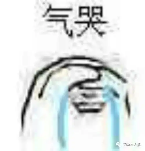 东莞松山湖不要只钓鱼,花开得正旺,大家赶紧拍照打卡吧
