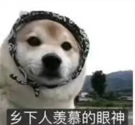 求一下乡下人羡慕的眼神表情包,没水印的谢谢
