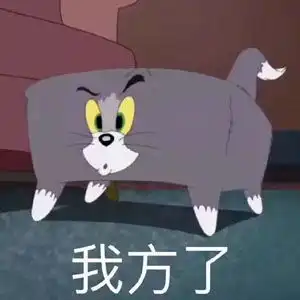 汤姆猫带字表情包,tom猫和老鼠表情包带字
