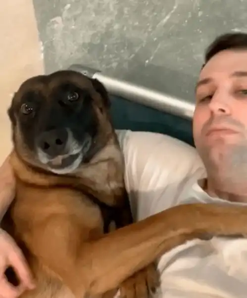 你以为威风凛凛的缉毒犬,其实私底下是只爱撒娇卖萌的小妖精
