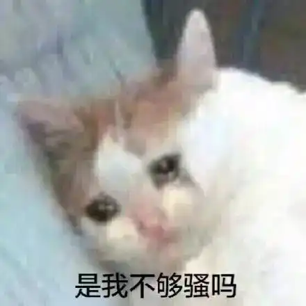 斗图小表情9.7
