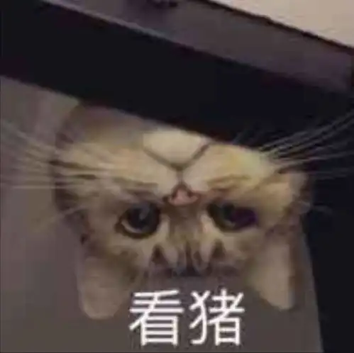 聊天斗图表情包i大家都听我说
