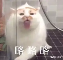 宝龙喜来登酒店礼盒月饼买一享二,数量不多,先到先得哦
