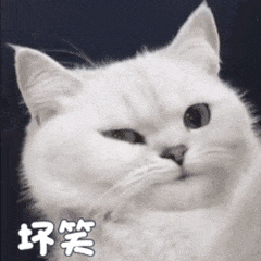 表情包哈哈真有你的
