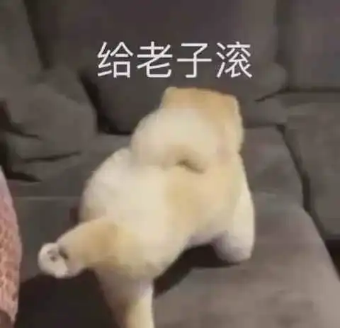 因为这句话,他们离婚了都不意外
