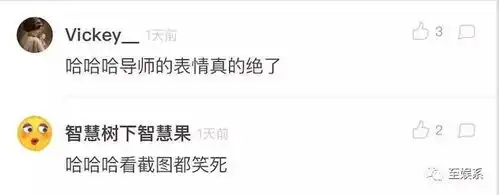 表情黄圣依毁容级演技尬穿地心曾经星女郎的灵气被什么给毁了表情