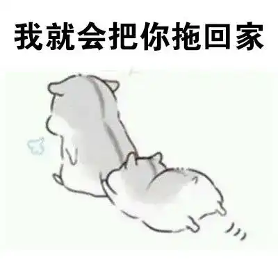 表情包做我男朋友,待遇很好的哦