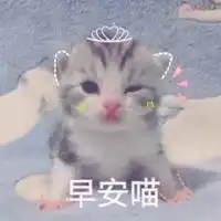 早上好表情包可爱
