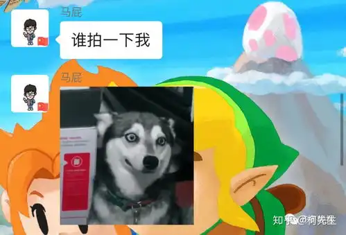 你都是用什么表情包来对付微信拍一拍功能的
