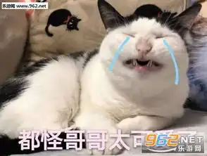 我宣布我的心就是他的了图片别动现在放的是我老公的歌表情包下载乐游网游戏下载
