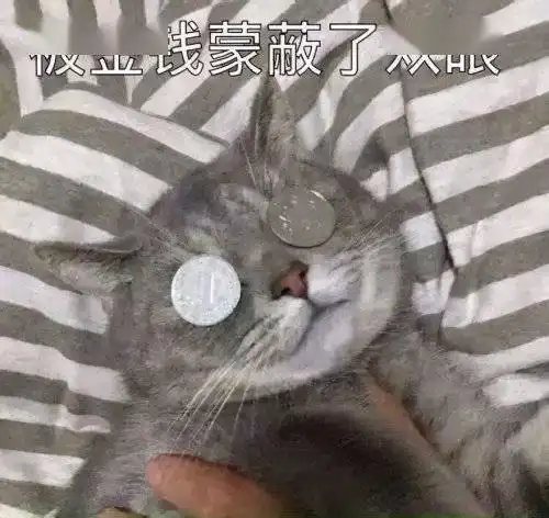 外卖订单超时了民警罚款我交了

