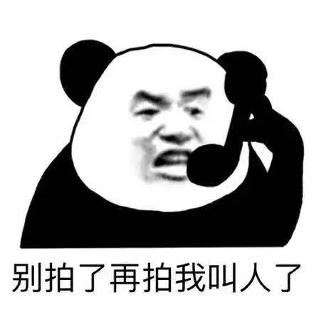 微信拍一拍表情包大全
