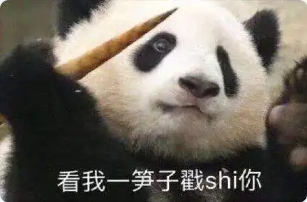 超可爱的熊猫表情包