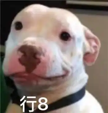最全沙雕狗子表情包合辑年度最傻狗子都在这儿了
