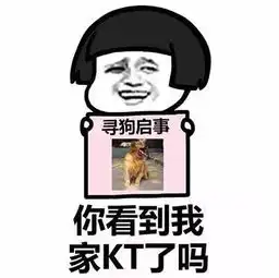 寻人启事表情包你看到我女朋友了吗
