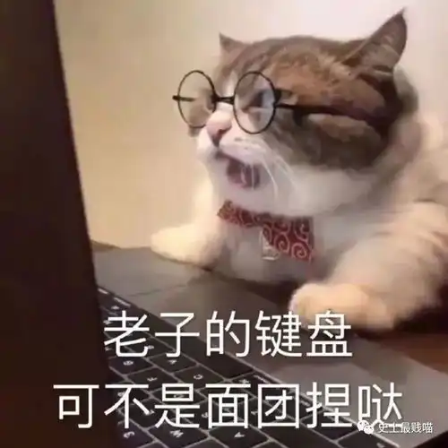 我的姐姐疯批了哈哈哈哈哈被弟弟吐槽记实文学笑疯了
