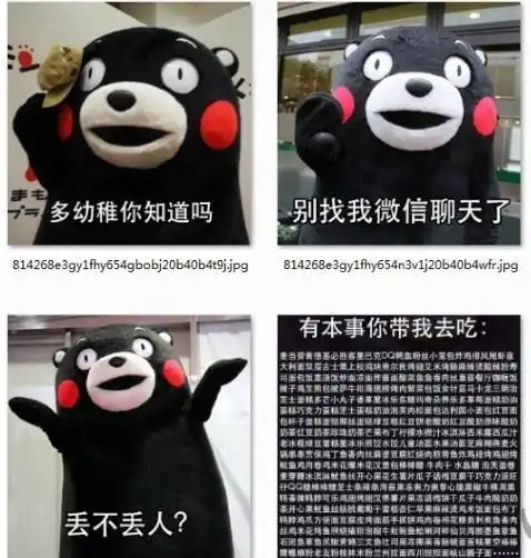 熊本熊幼不幼稚丢不丢人表情包下载
