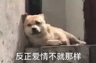 搞了这么久我终于找到了真正的世外桃源
