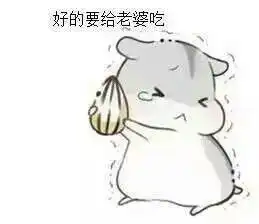 hamham情侣仓鼠表情包
