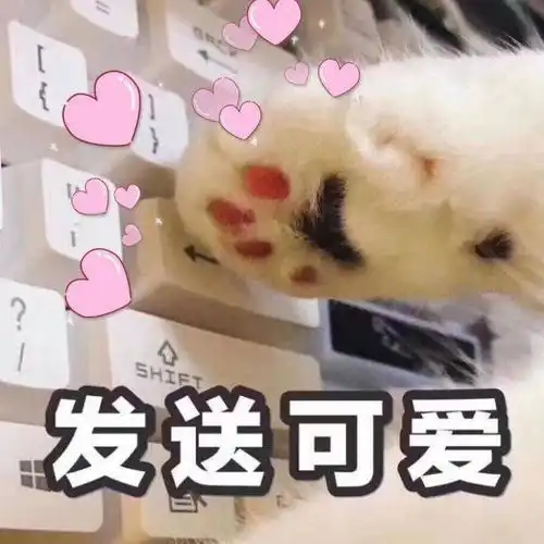 今日热门搞笑表情包阿喵陀佛,小姐姐,请问通往你的心该怎么走
