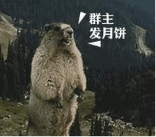 可爱的要月饼表情包合集
