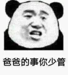 沙雕熊猫头表情包
