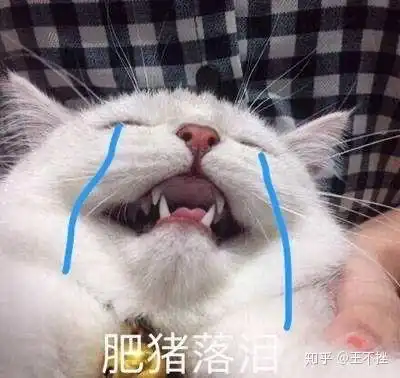 女生胖又难看是种怎样的体验
