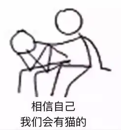 ball问这些猫表情包的品种是啥
