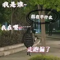 电视剧乔晶晶经典搞笑表情包
