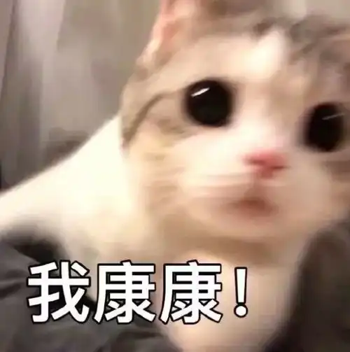表情包斗图表情包,快存
