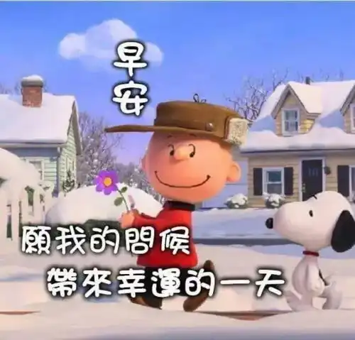晨曲,早安
