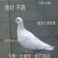 我一定会来鸽子表情包微信头像图片大全
