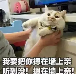 网红喵楼楼我回喵星了,你们不要太想我

