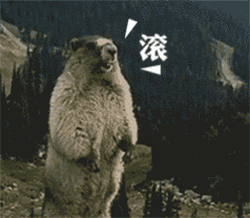 镇店之宝火热上线

