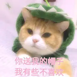 planet御姐版你懂叭
