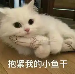 有最近流行的表情包吗
