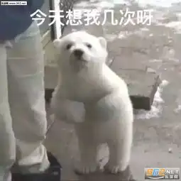 我在生气莫挨老子表情包图片老子想怎样就怎样表情包下载乐游网游戏下载
