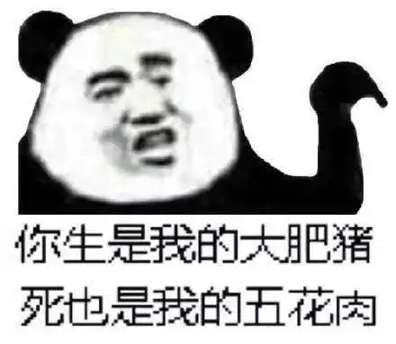 熊猫头表情包i年轻人不知天高地厚
