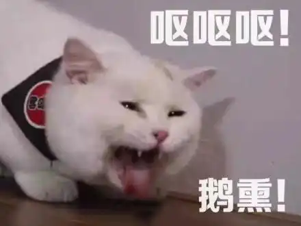嫌弃表情包27张
